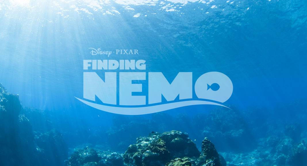 Nemo Remake Finding nemo live action saga 2024 its a good idea by Relohe on DeviantArt