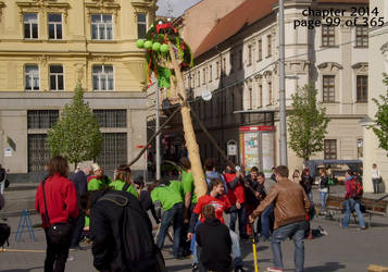 Building Maypole