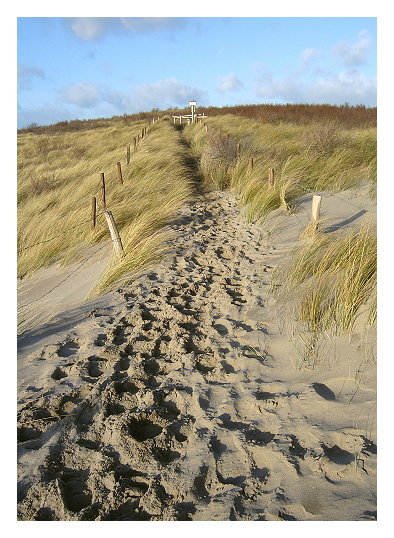 Duinen.