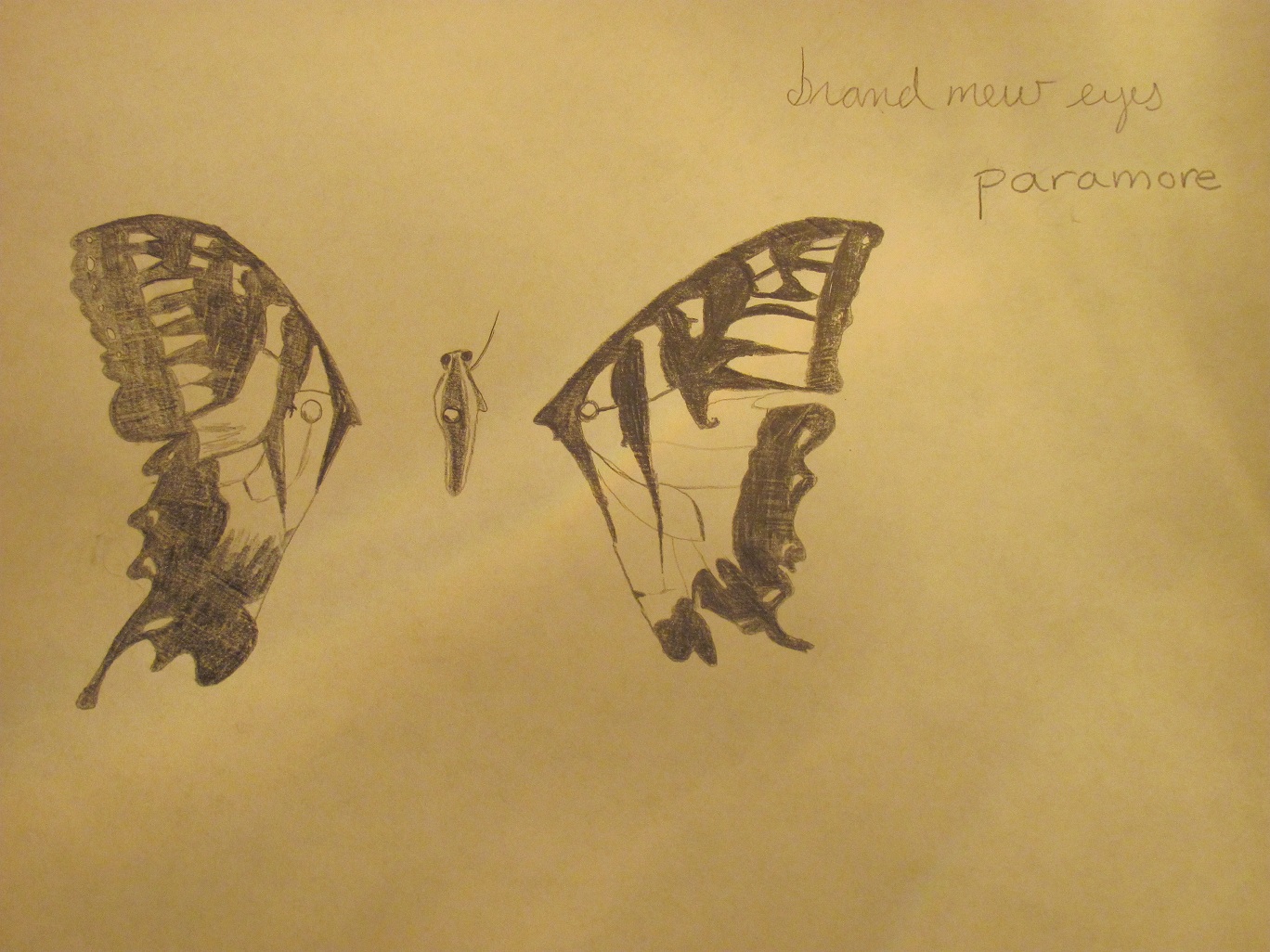 Brand New Eyes