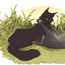 reminds me of you / hollyleaf x cinderheart