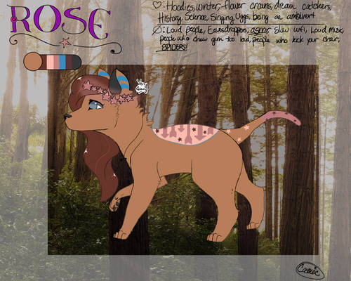 Rose Ref (end of 2018)