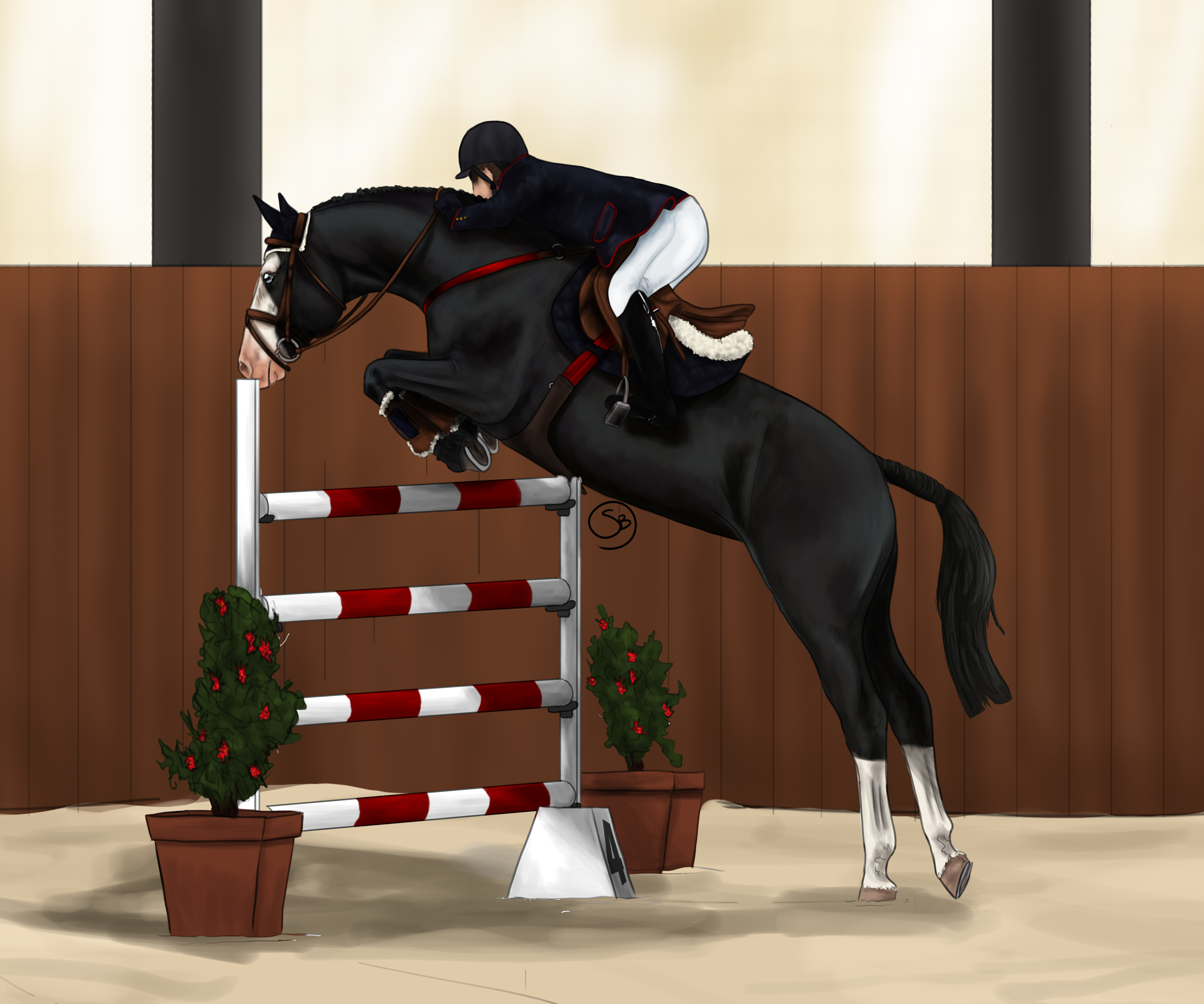 Show jumping Reve - 2nd place