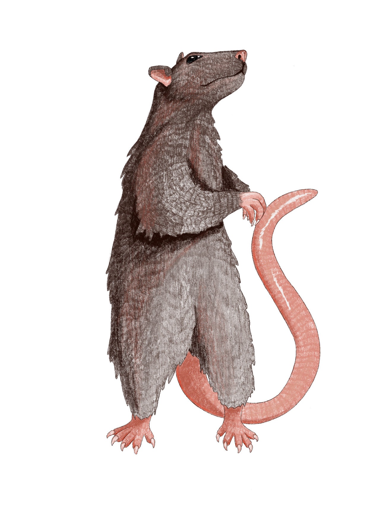 Rattt By DinonanaArt On DeviantArt rattt-by-dinonanaart-on-deviantart