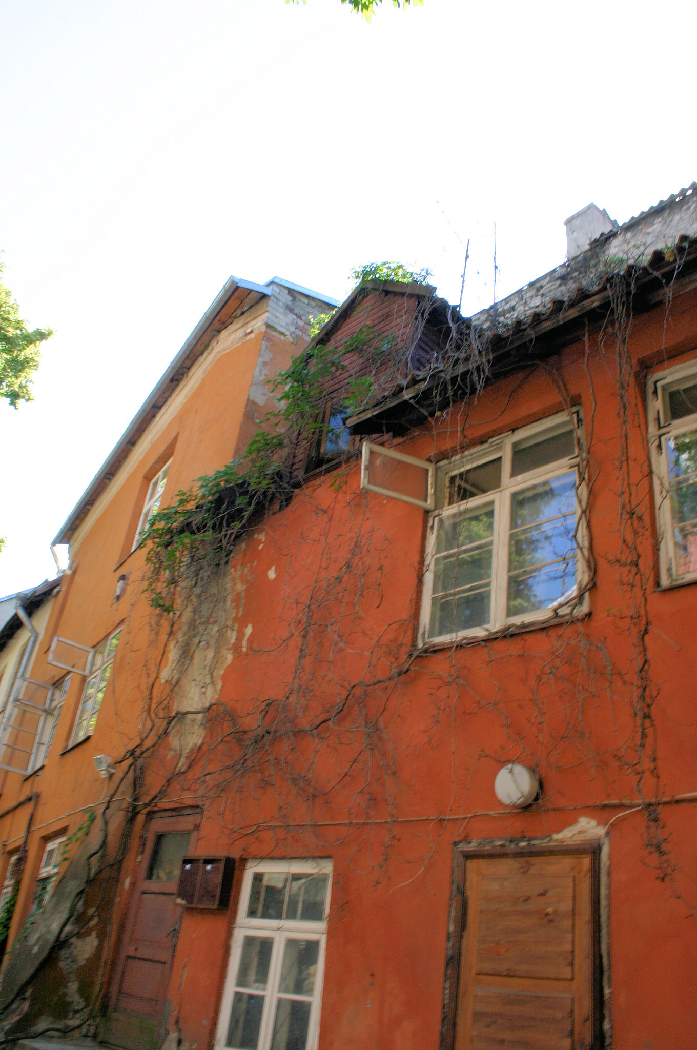 orange houses