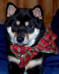 My First Christmas by smiles2n4u