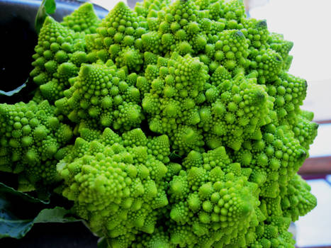 Romanesco