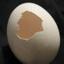 Egg 5