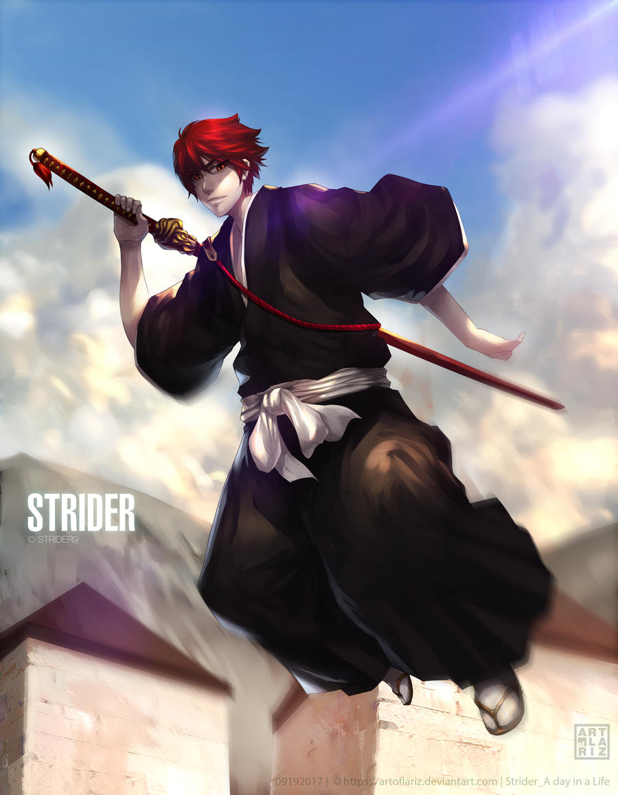 Strider A Day in Life by ArtofLariz on DeviantArt