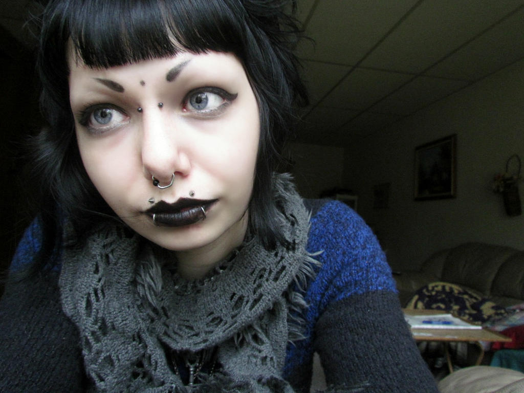 A Pointed Look by Theanimalparade on DeviantArt