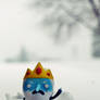 The Ice King's Wrath