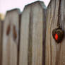 On The Fence