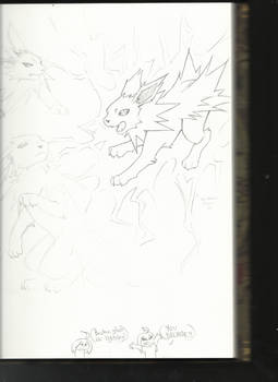 Jolteon Sketch