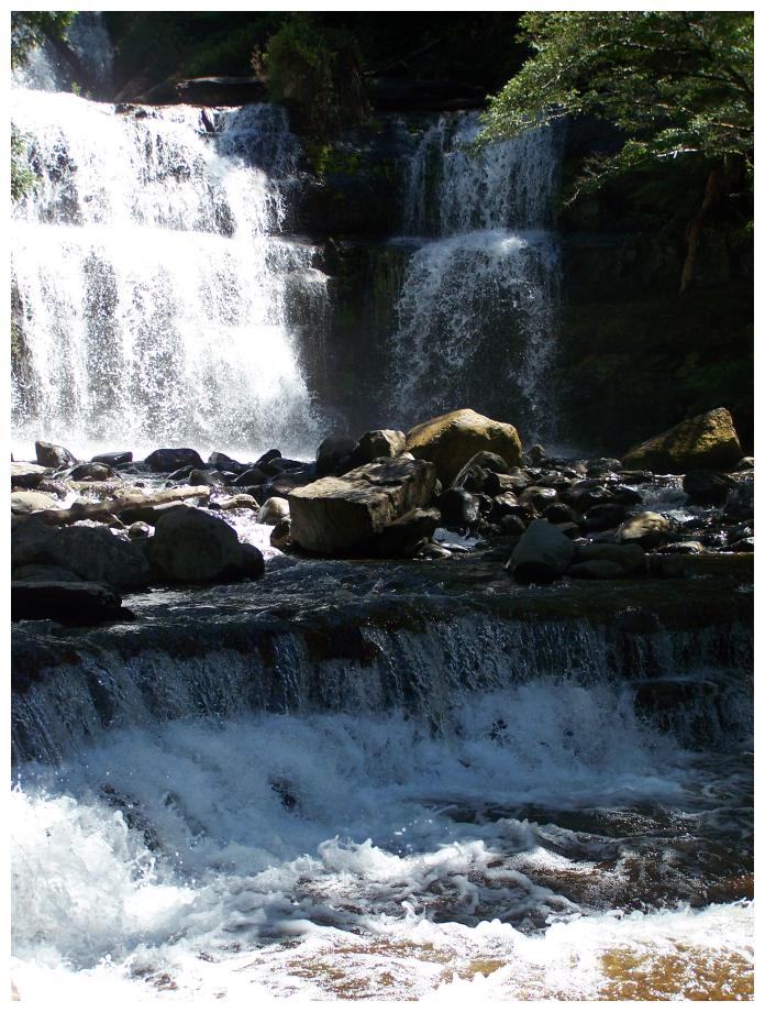 Liffey Falls III