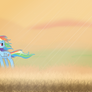 Rainbow Dash wallpaper