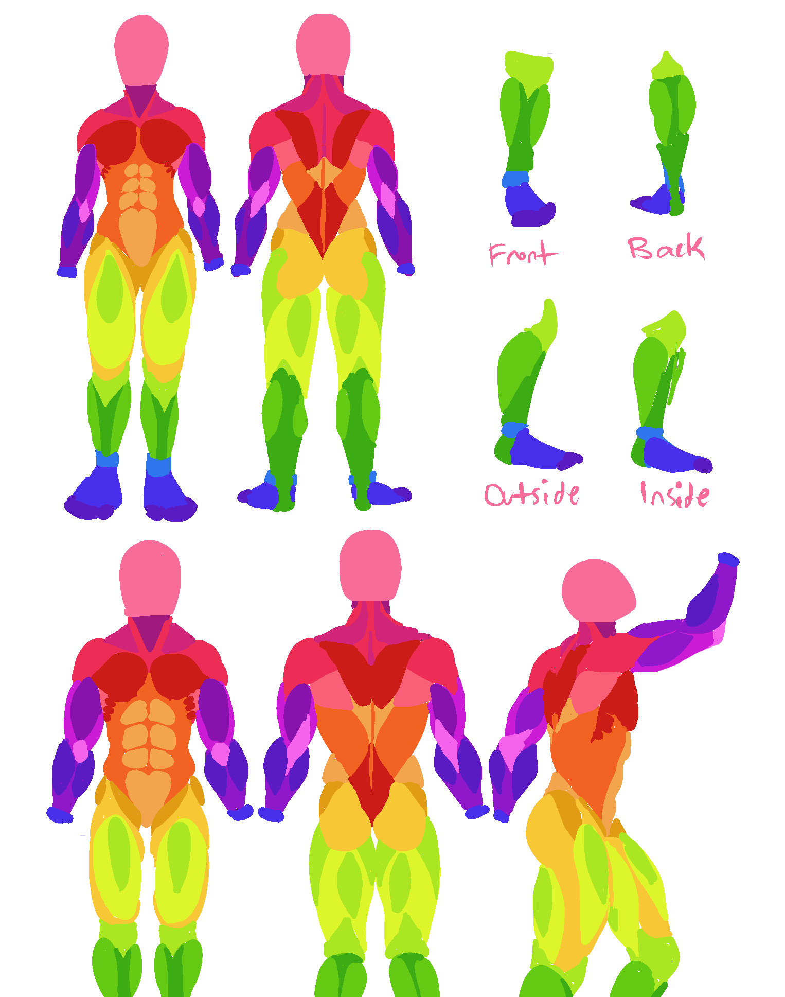 Muscle Reference by silveyytm on DeviantArt