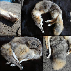 LS Kit Fox for Sale