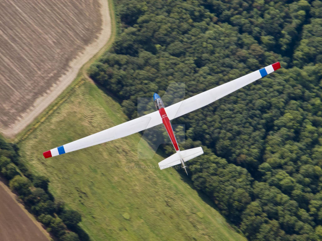 Slingsby Skylark 4 by WolfTheAviator on DeviantArt