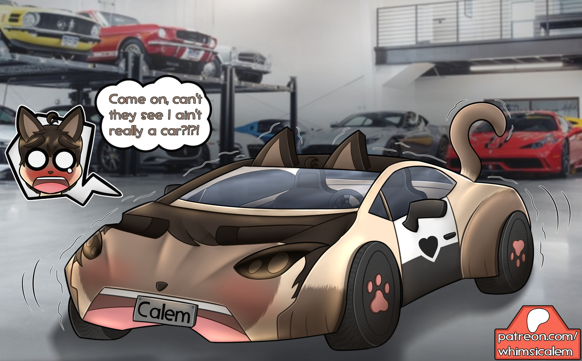 Cat Car TF