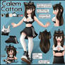 Calem Cotton 2026 Reference Sheet
