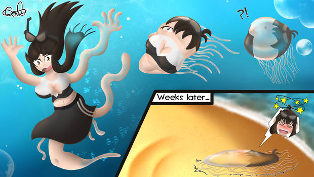 Jellyfish TF