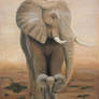 Elephant I