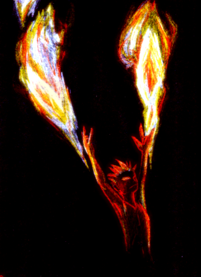 Flame Guy. WITH FLAMES. D: