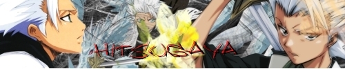 Hitsugaya sign