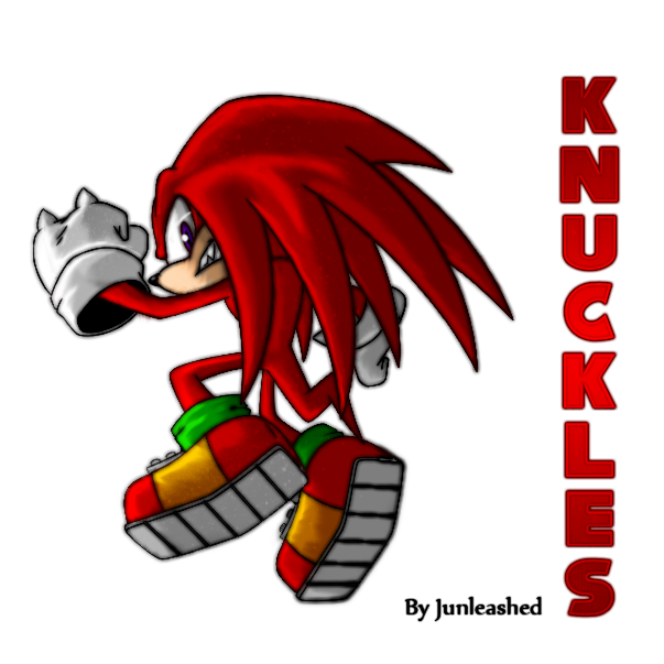 - Knuckles the Echidna -