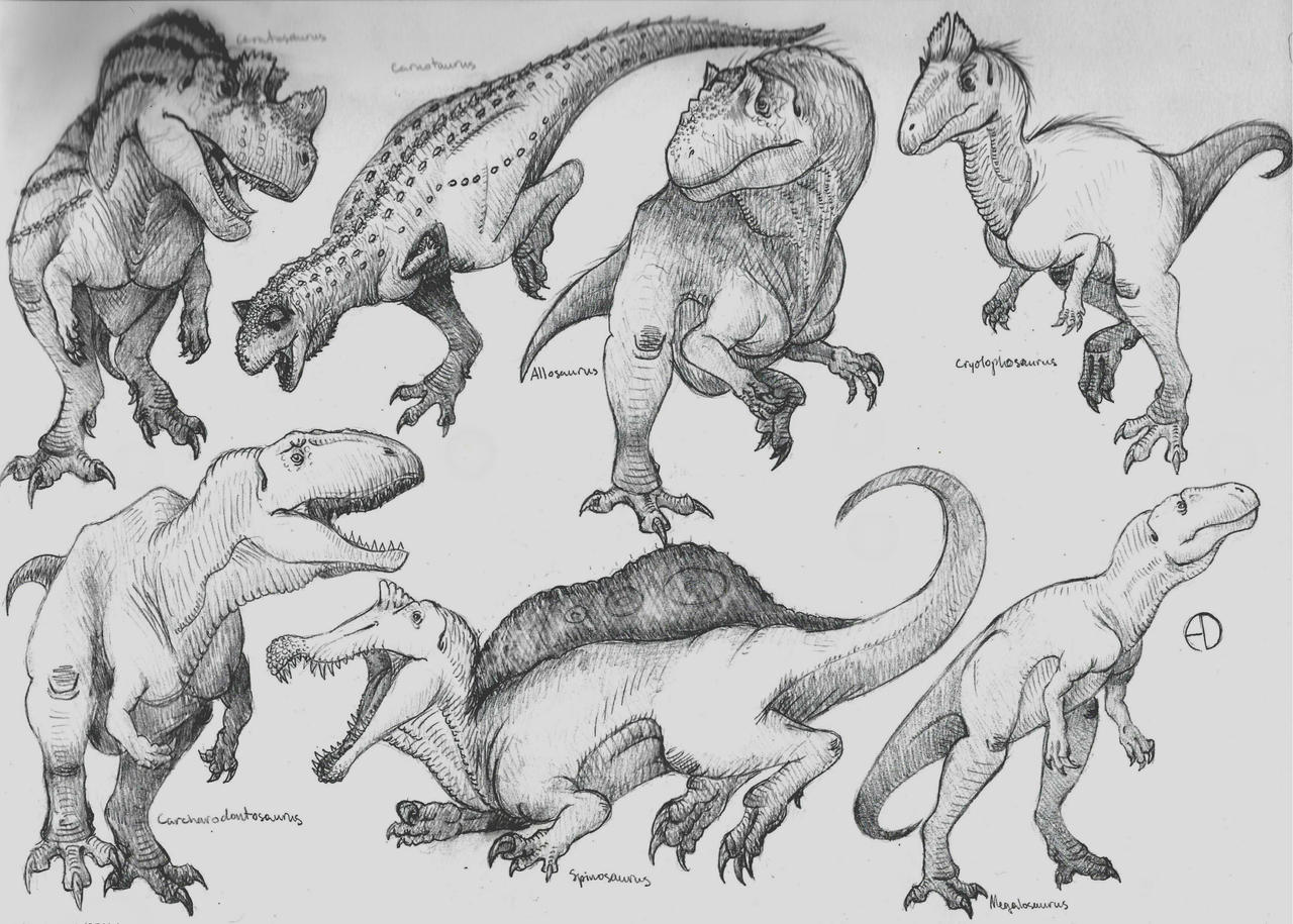 Dinosaur Phylogeny: Non Coelurosaurian Theropods by SaurArch on DeviantArt