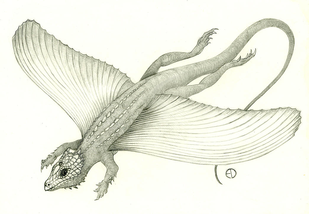 Coelurosauravus by SaurArch on DeviantArt