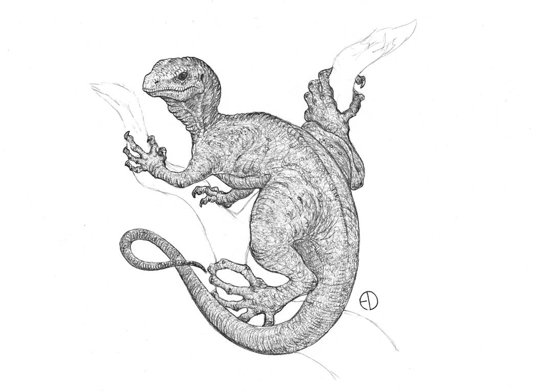 Commission: Canopy Drake by SaurArch on DeviantArt