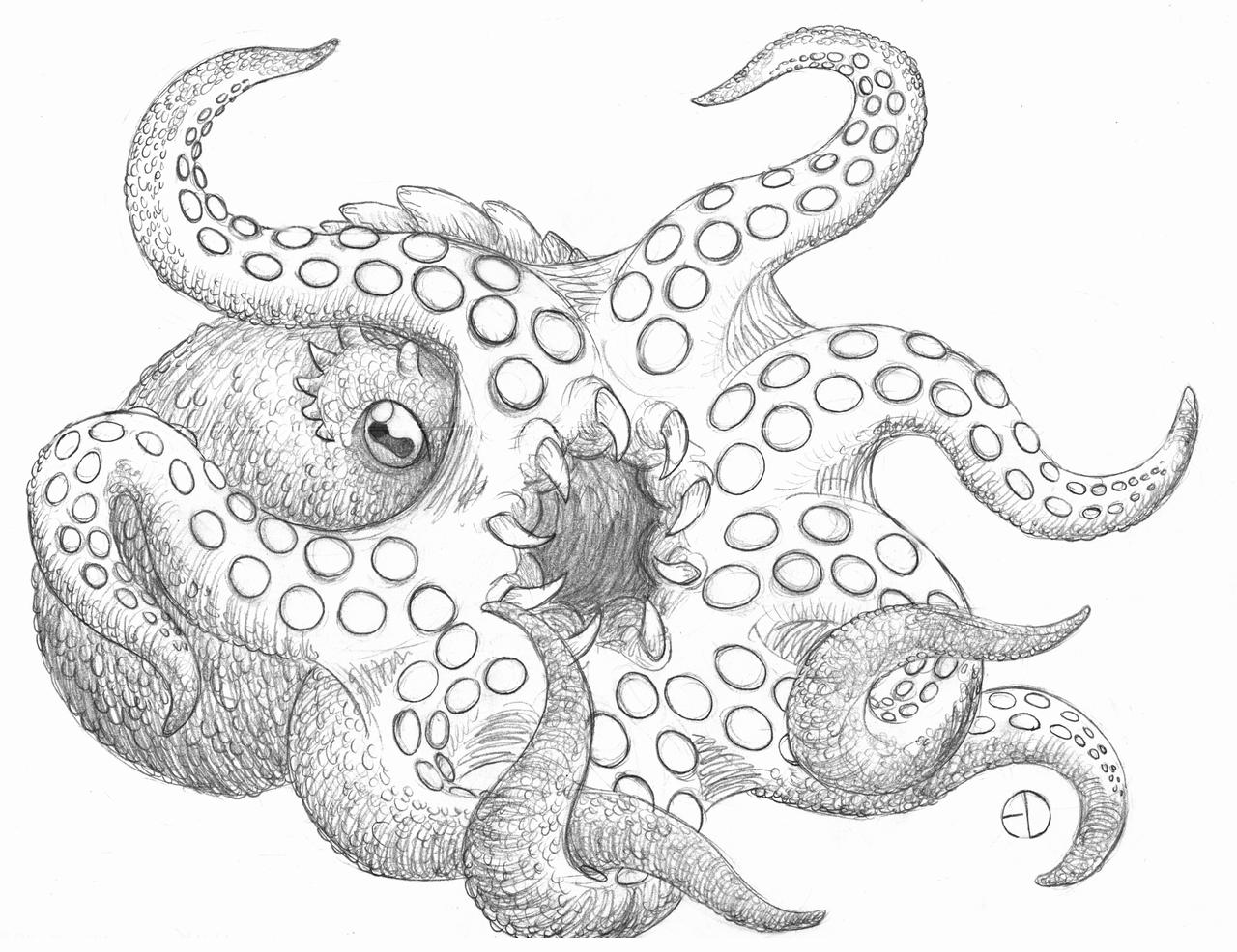 Gerf Cryptid Cryptid October II: Lusca by SaurArch on DeviantArt