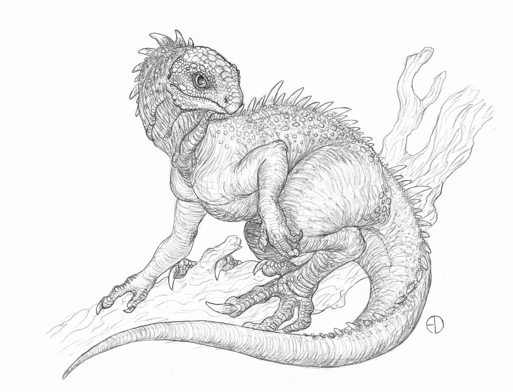 Nomen Dubium III 5 Laosaurus By SaurArch On DeviantArt nomen-dubium-iii-5-laosaurus-by-saurarch-on-deviantart