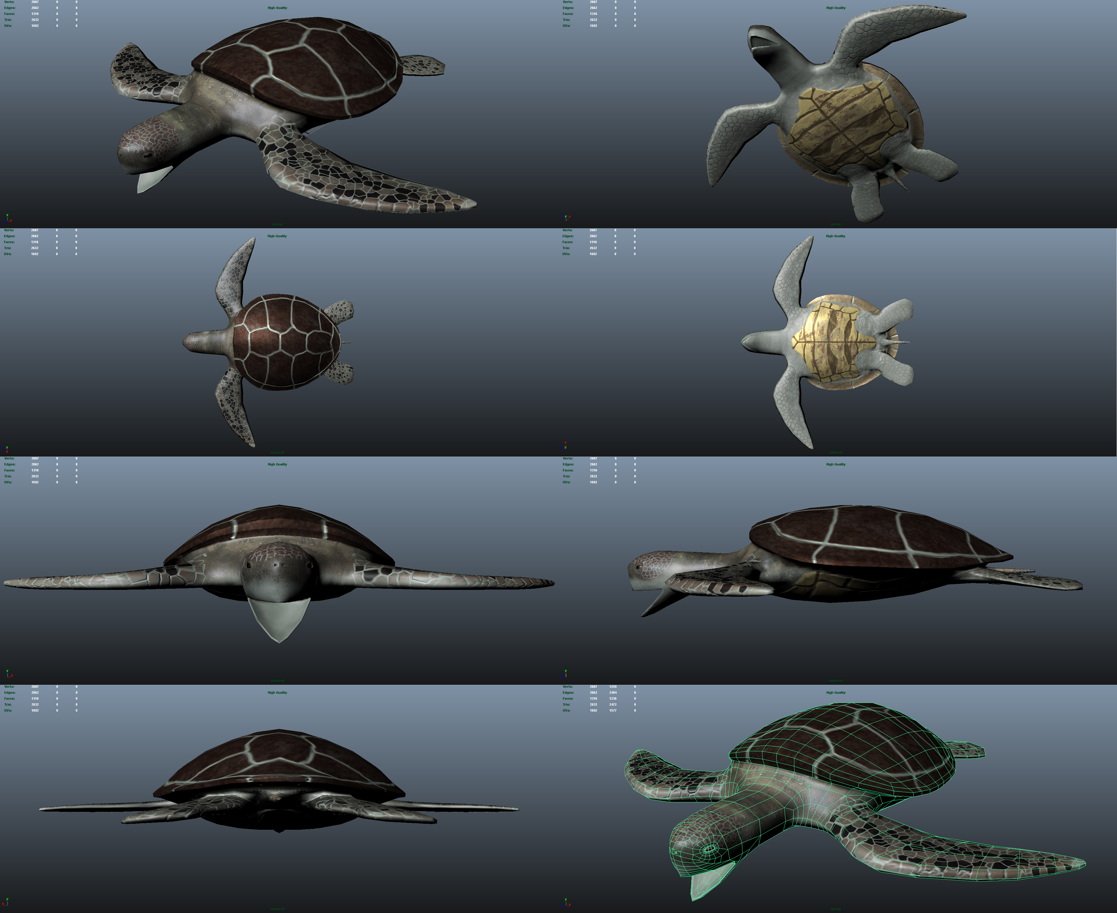 Sea Turtle - High Poly and Texture Mapped by OwnedbyCow on DeviantArt