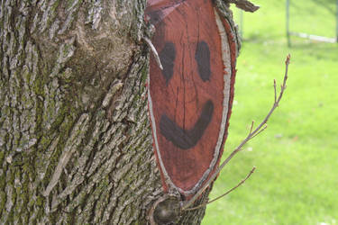 Tree Bark Smiles