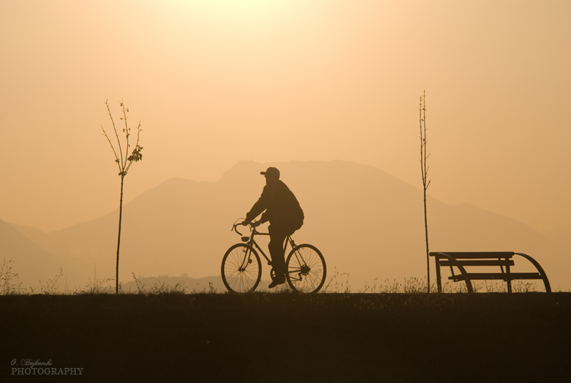 The Lone Rider