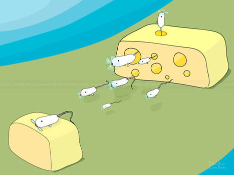 How Cheese is Made