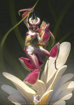 Orchid Mantis Girl