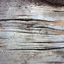 Driftwood Texture 8