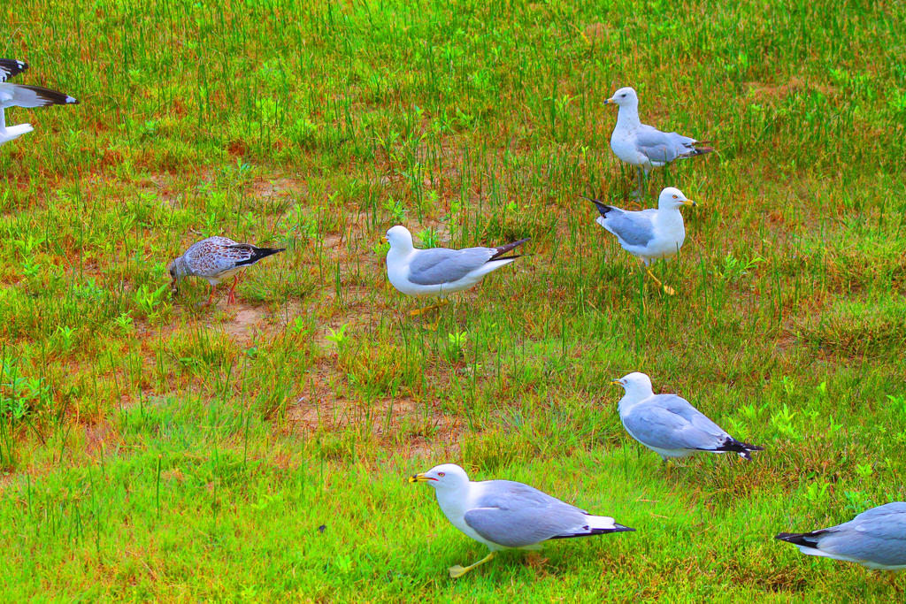 After the Lunch Rush Hour