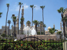 Garden at the residence