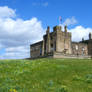 Ripley Castle Hillside