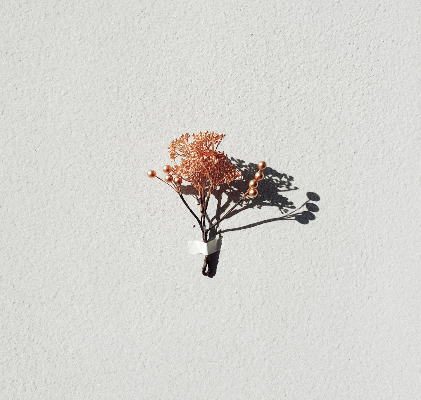 winter berry