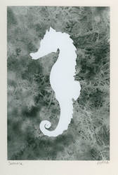 Seahorse