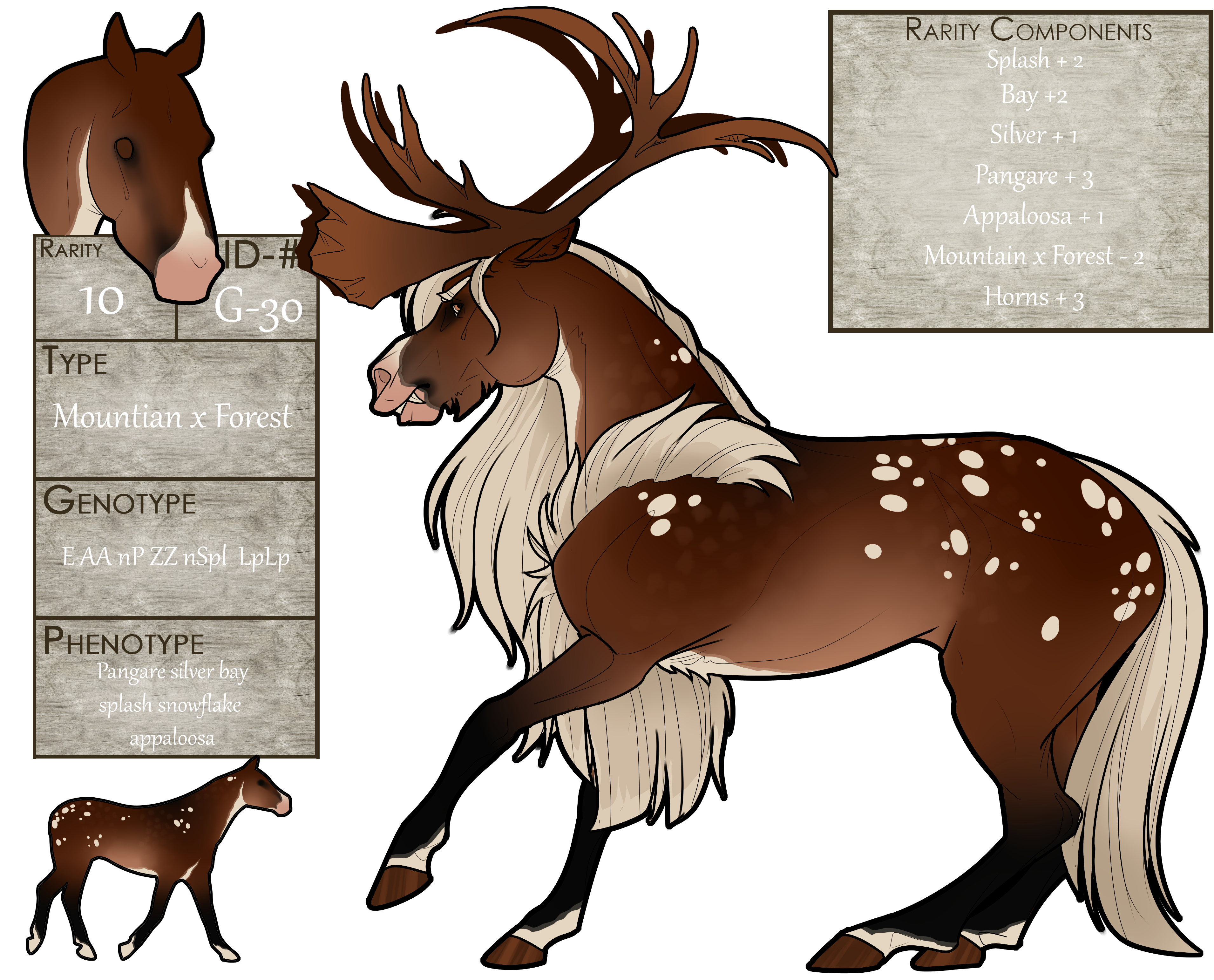 EB Holiday Raffle: Caribou!