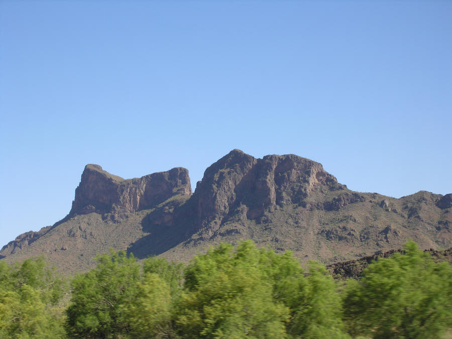 Arizona Greenery