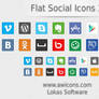 Flat Social Media Icons 2