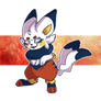 PKMN R: Buster