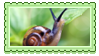 snail_by_glittersludge_day7px0-fullview.
